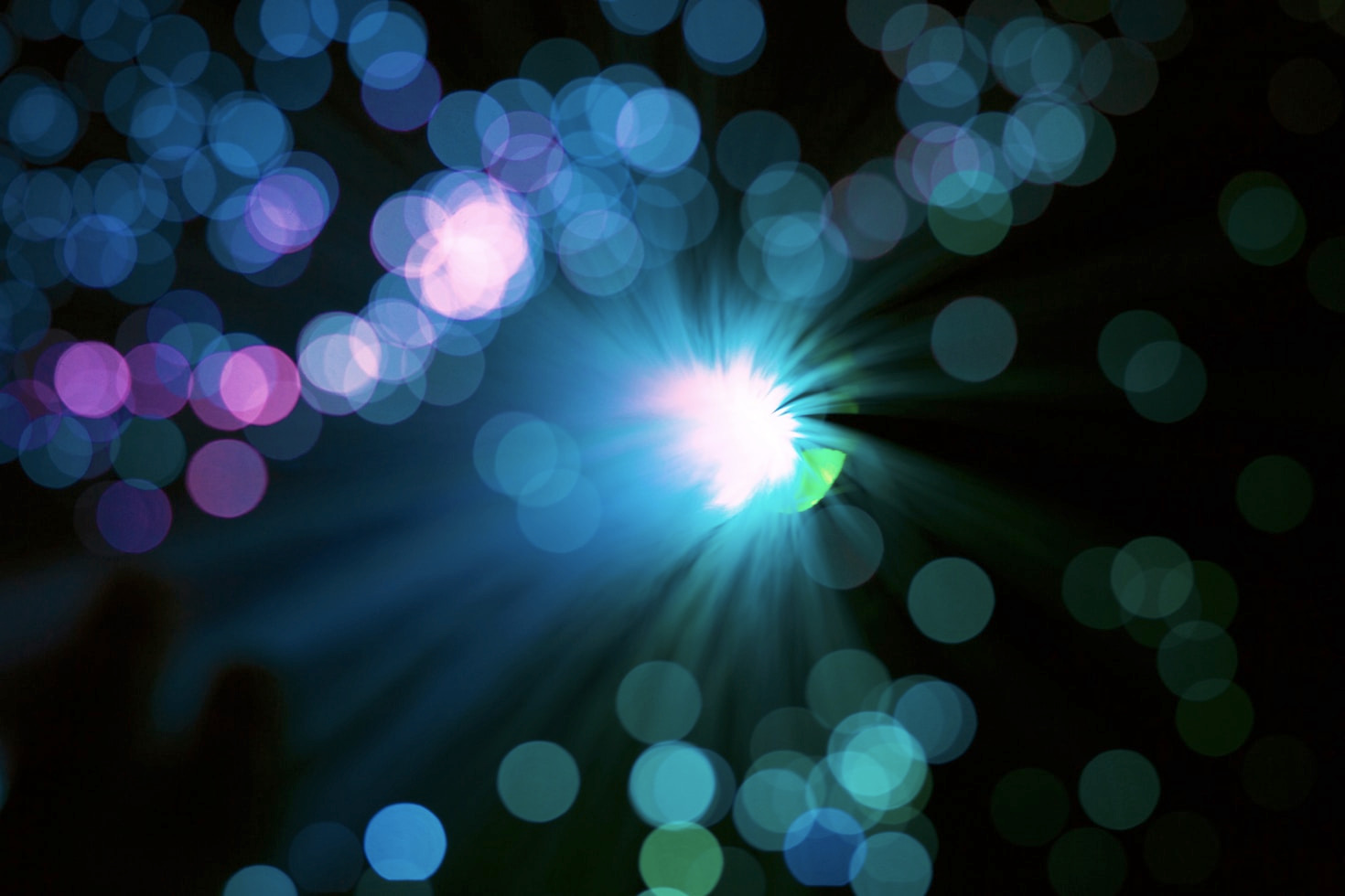 Quantum Particles: The Building Blocks of Reality